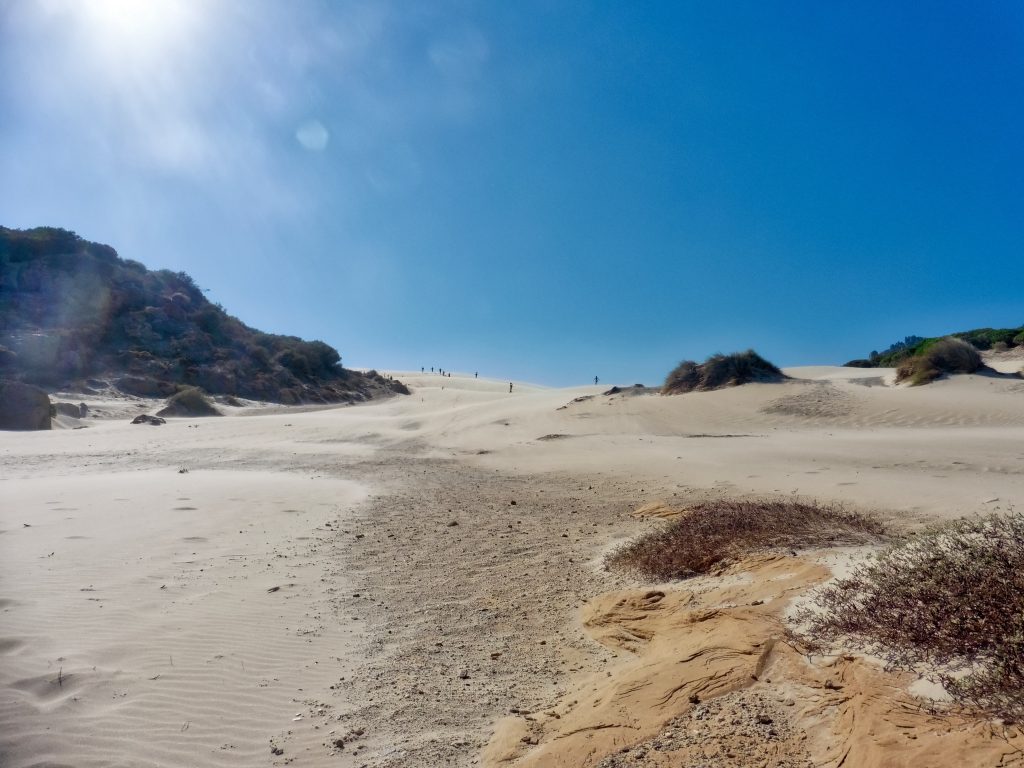 dunes plage de Bolonia