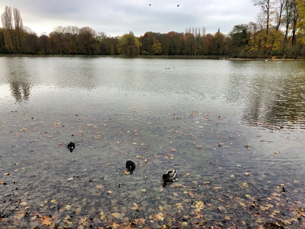 lac Munich