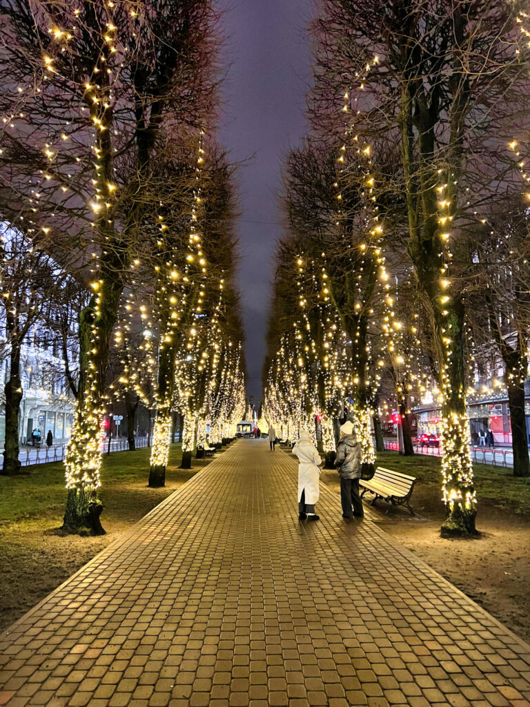 allée d'arbres décorés